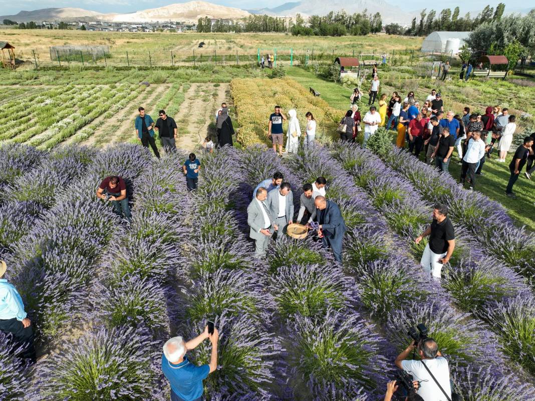 60 kilodan 1 litre yağ çıkarıyorlar: Litresi 600 liradan satılıyor 2